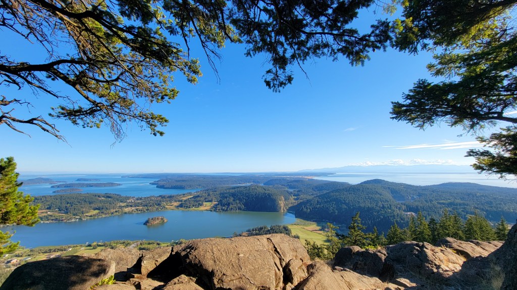 “Going to the Woods is Going&nbsp;Home”