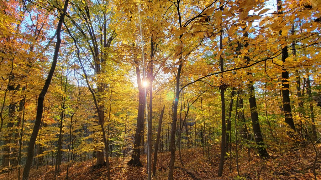 Cuyahogoctober: Why This Ohio National Park Should Be on Your Autumn Bucket&nbsp;List