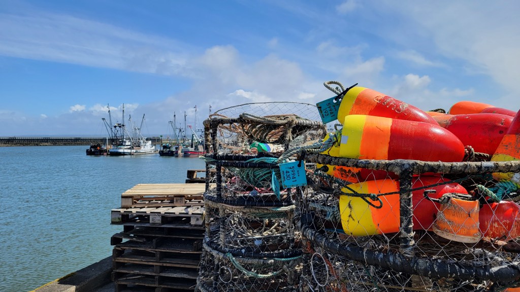 Fresh Catch: Visit Westport for Seafood, Surfing & Springtime&nbsp;Fun